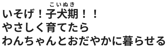 優しく育てるから 優しいわんちゃんになれる