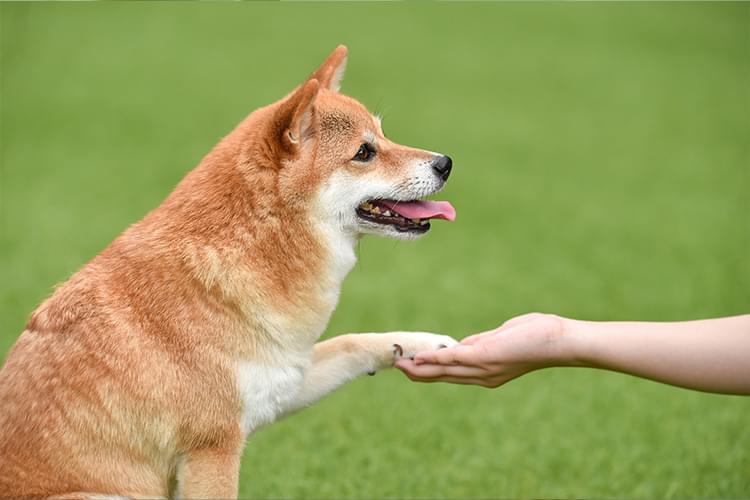 スタッフ名が入ります