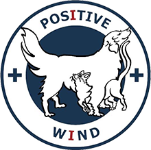 POSITIVE WIND