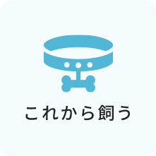 これから飼う方へ